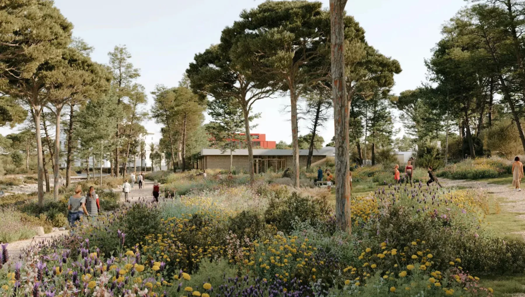 Perspective du projet Les Combes : promeneurs dans une prairie fleurie bordée de pins
